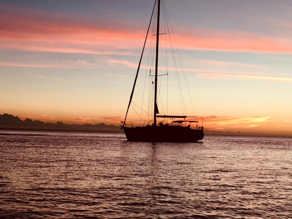 Day Sailing, Sailing Experience and Houseboat
