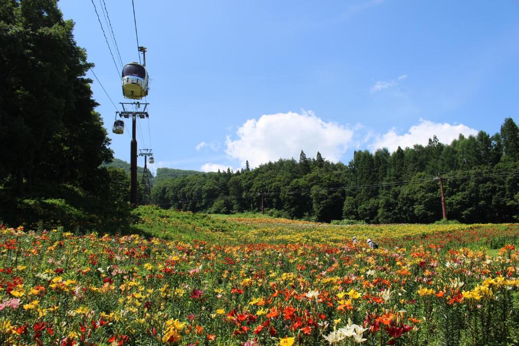 Schole Hakuba photo 4