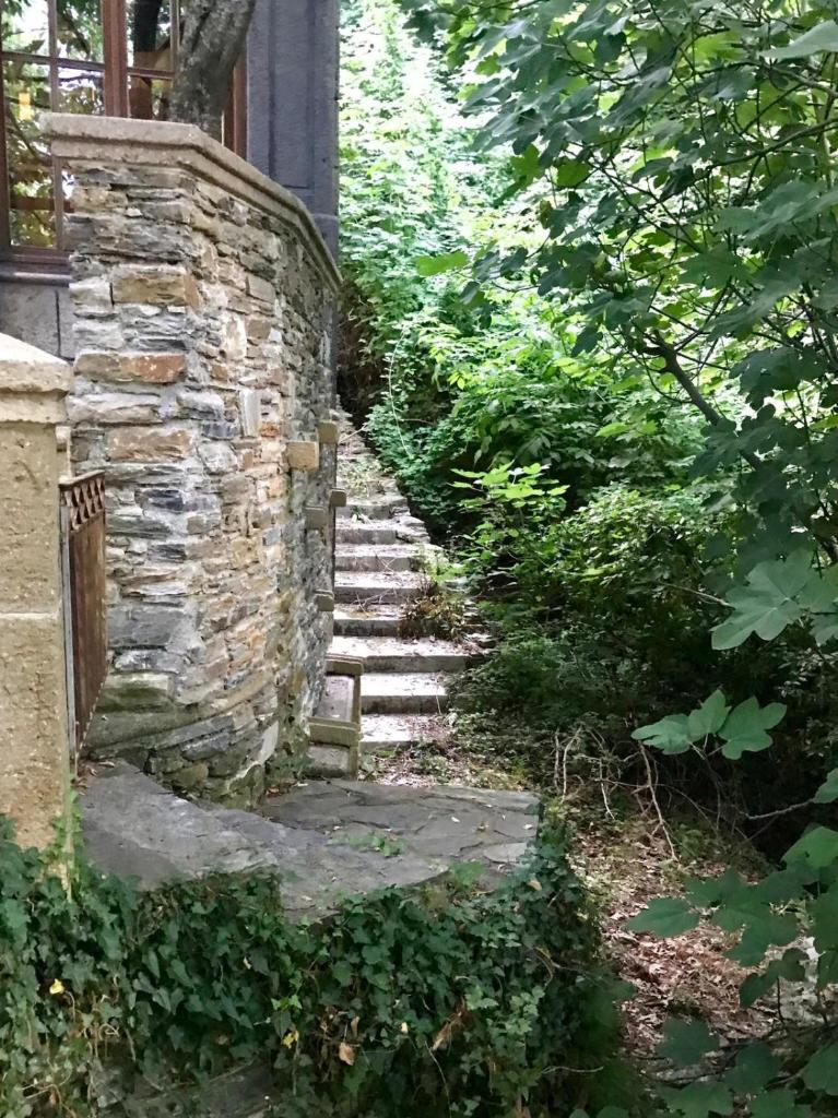 Chateau Cascara photo 2
