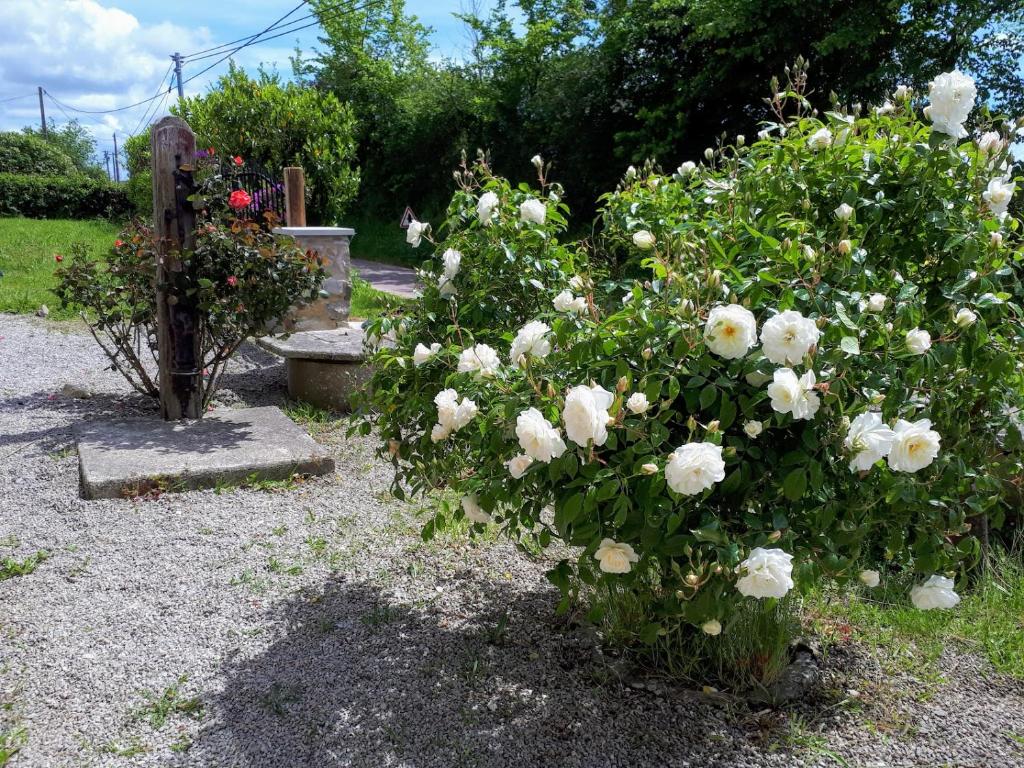 Potter's Cottage photo 3
