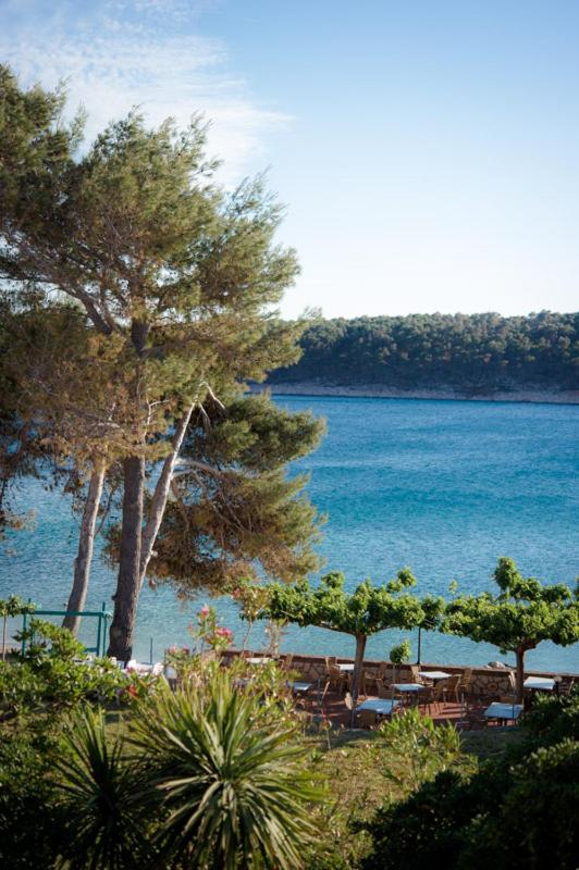 Hotel Villa Barbat photo 3