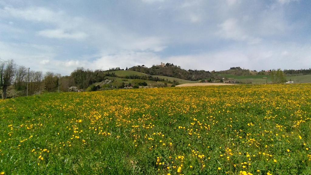 Le Spighe Agriturismo photo 2