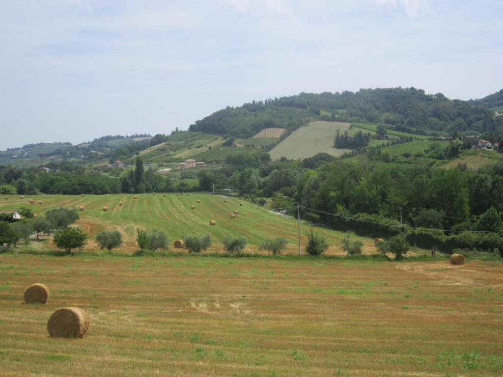 Le Spighe Agriturismo photo 4