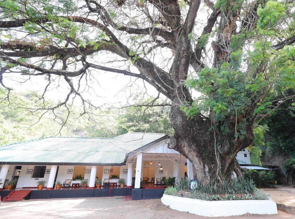 Heritage Belihuloya Resort photo 4
