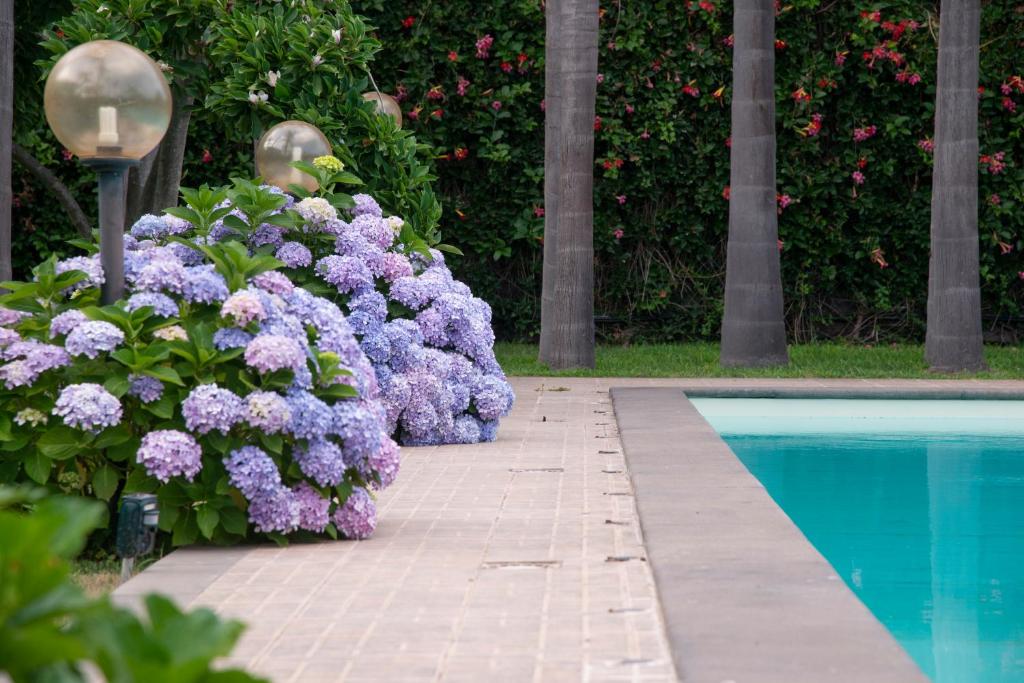 Boutique Villa Etna d'A'mare photo 3