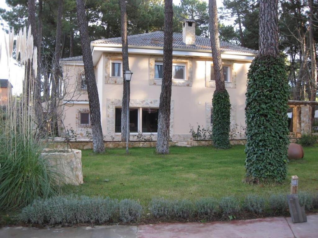 El Chalet del Pinar photo 3
