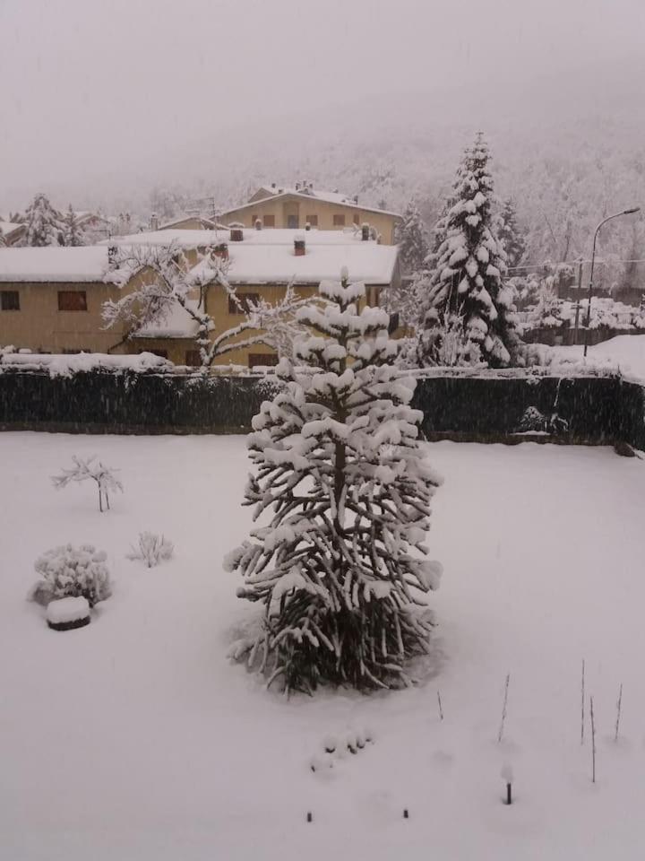 Villa Roma photo 4