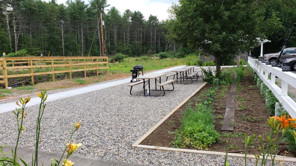 Sara Glen Motel - Saratoga Springs-Glens Falls photo 3