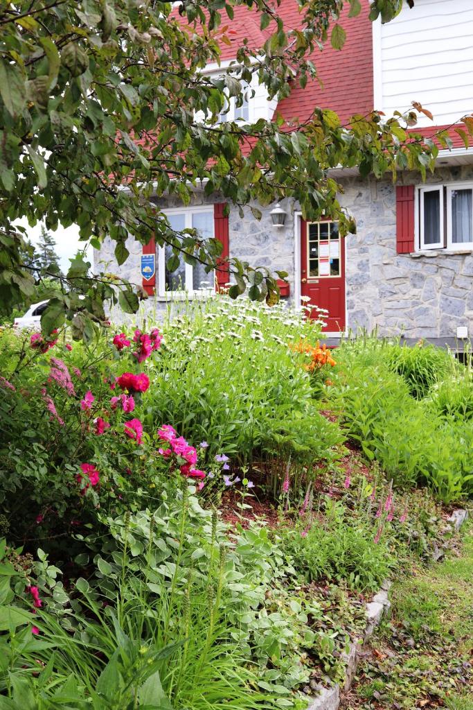 Au Gîte de la Chute photo 2