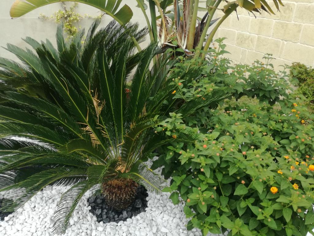 Appartamento Casa Vacanze photo 3