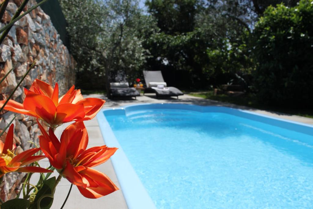 Holiday Home Liberta photo 1