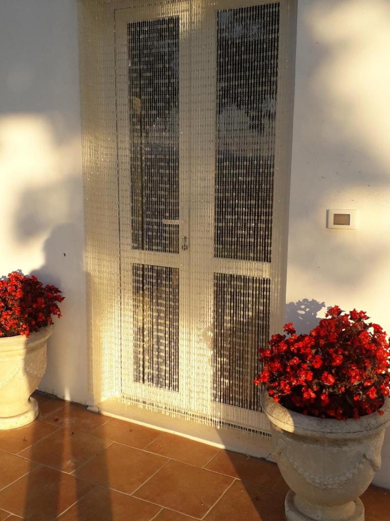 Casa Con Vista Holiday Rentals, Jasmine photo 3