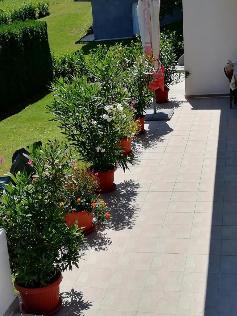 House Osana photo 4