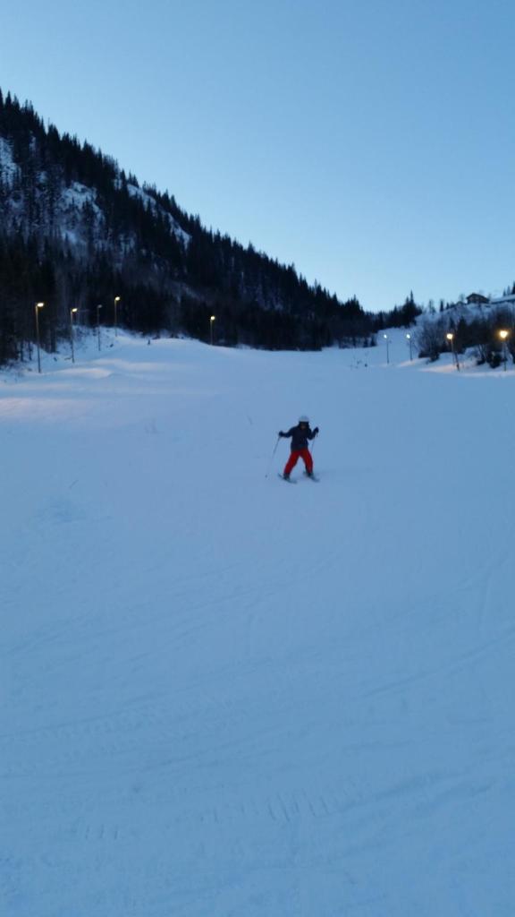 Leilighet i Åmotsdal photo 3