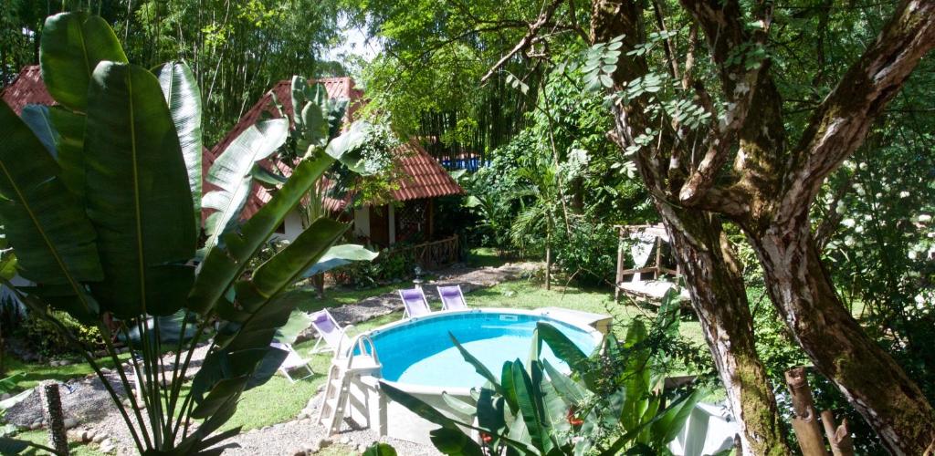 Naturalmente Boutique Bungalows y Cocina Mediterránea photo 1