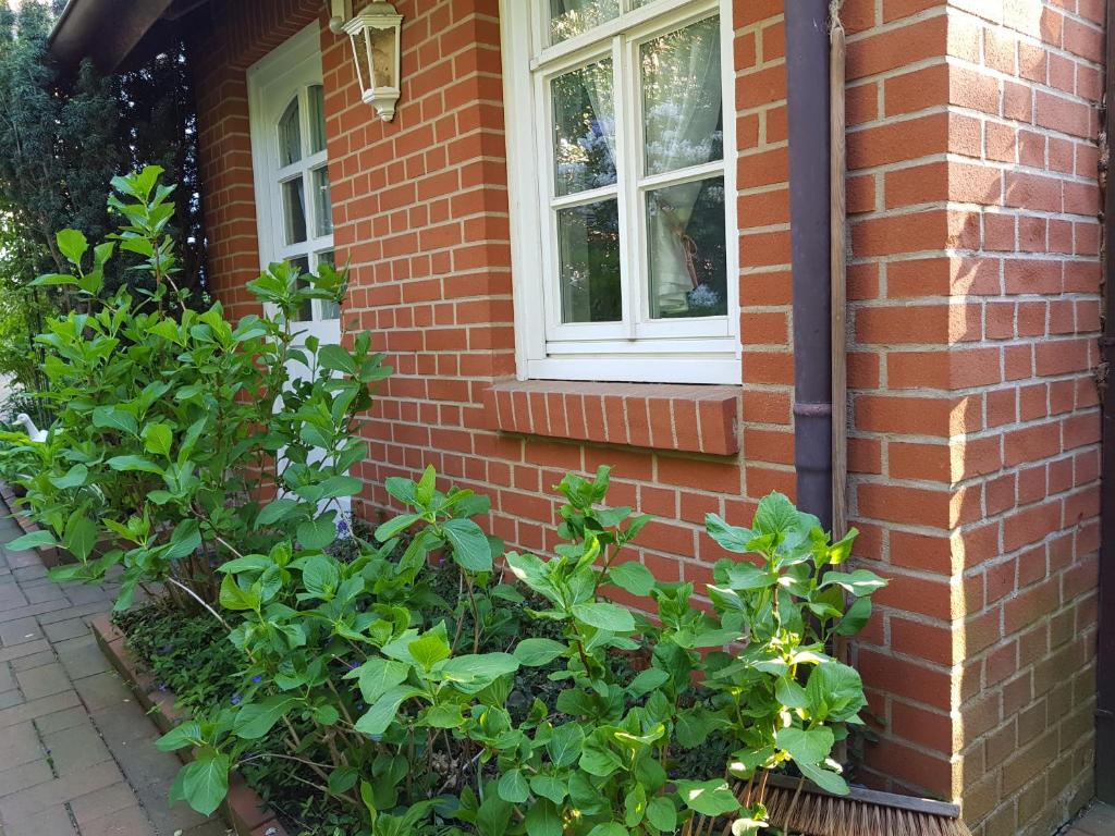 Gästewohnung Wasserzucht photo 4