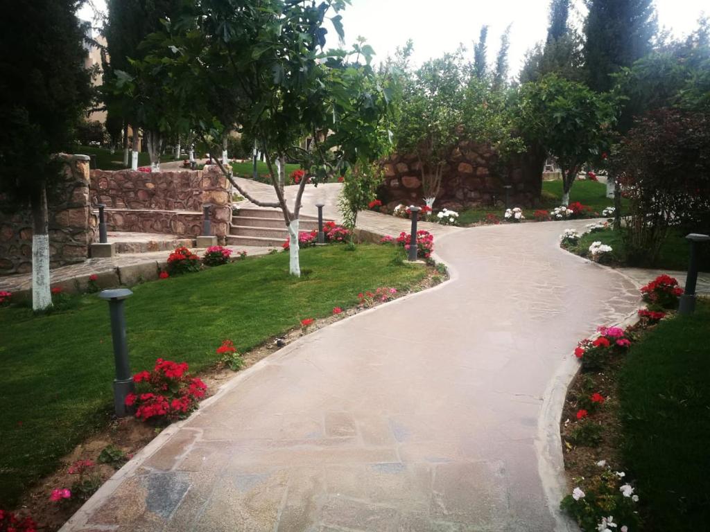 Al Wadi Touristic Resort photo 4