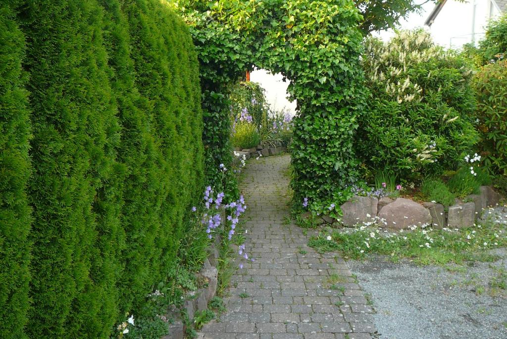 Enzkreisspitze Garten photo 1