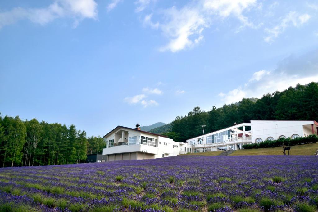 Highland Furano photo 1