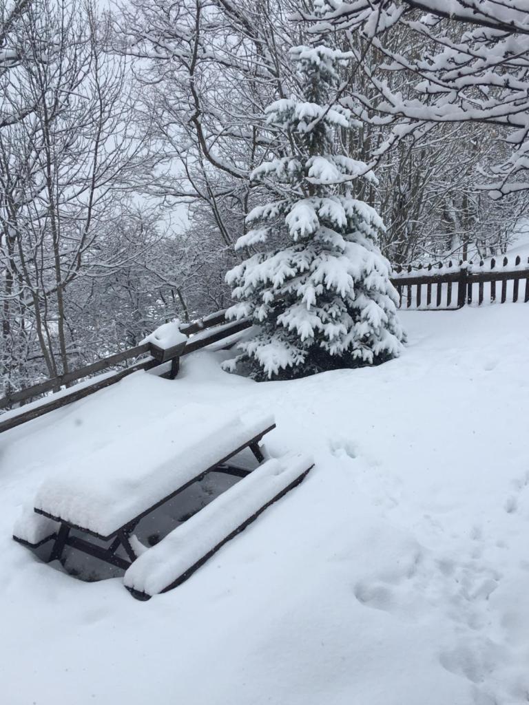 En pleine nature avec jardin photo 2