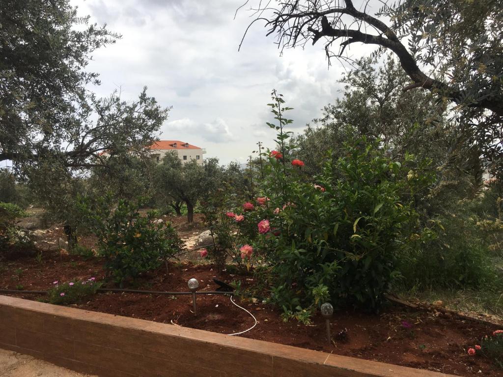Koura Nahla Apartment photo 3