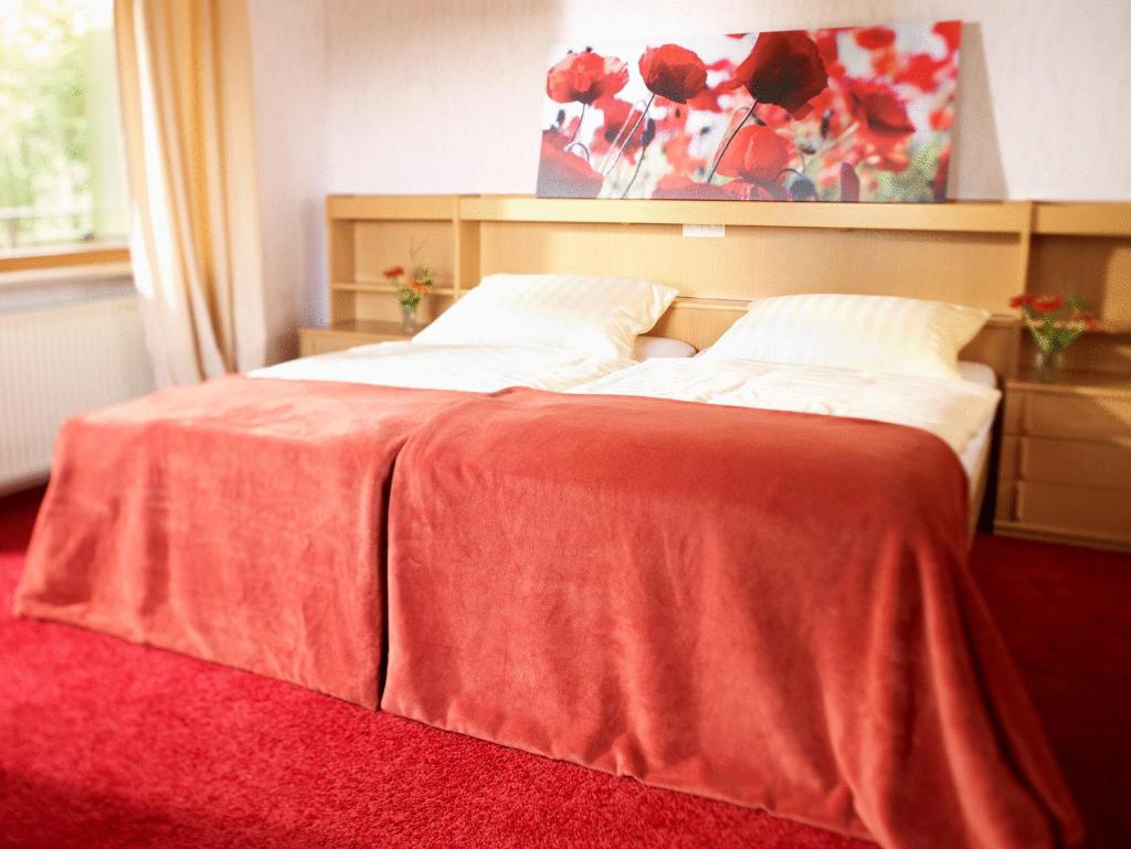 Двухместный (Двухместный номер с 1 кроватью), Berghotel Wintersberg