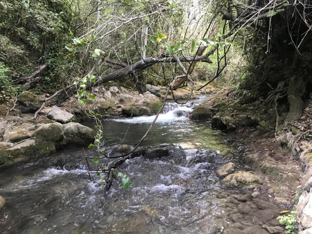 El Bosque, tu entrada a la Sierra Gaditana. photo 3