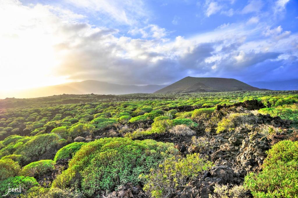 Naturaleza Viva photo 2