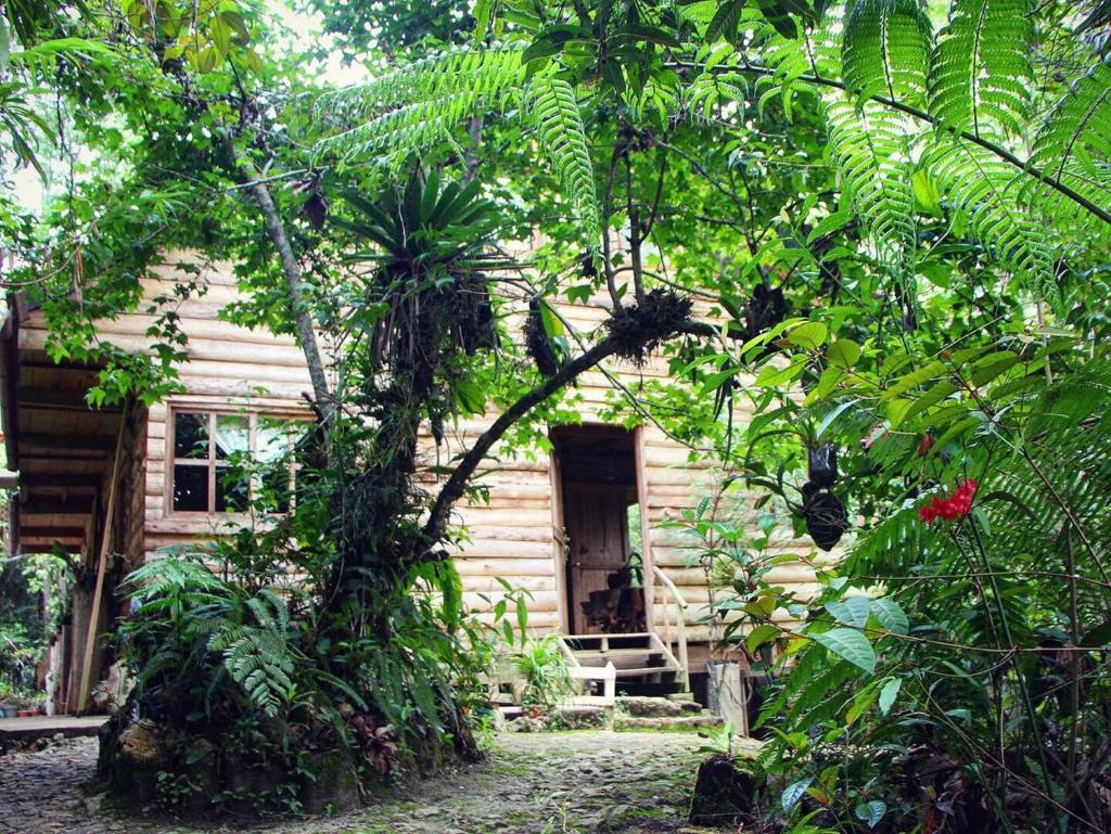 Paraiso Verde photo 1