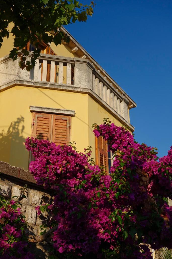 Villa Matilda photo 2