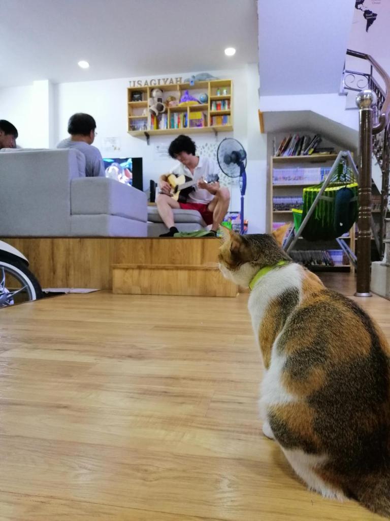 Usagiyah Guest House