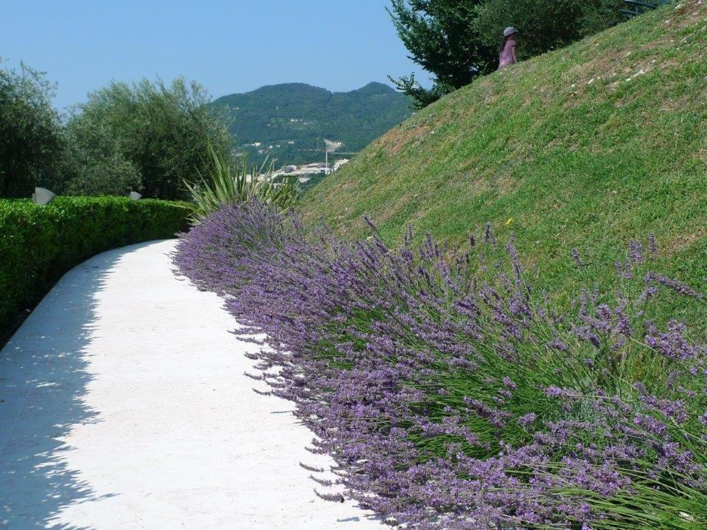 Appartamenti Borgo photo 1