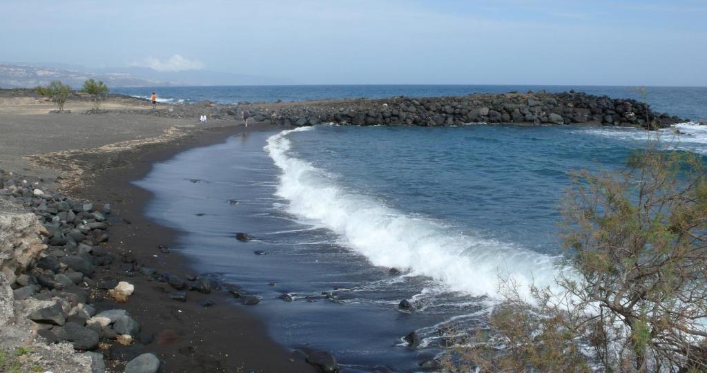 Naturaleza Viva photo 1