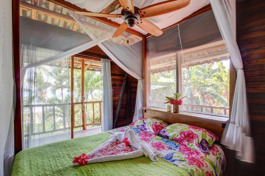 Casa Verde + Contiki photo 3