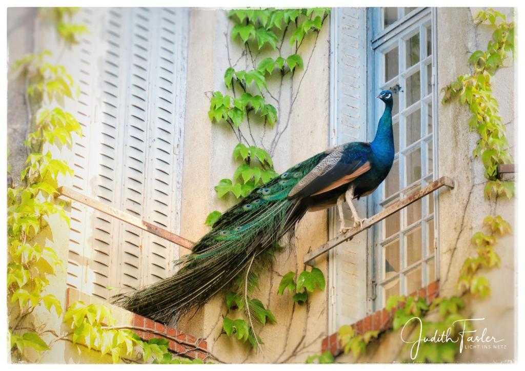Le Relais du Doubs en Bourgogne photo 1