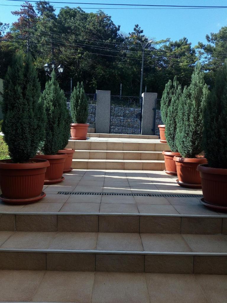 Royal Apartments photo 3