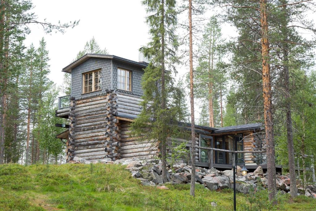 Ankkalinna photo 2