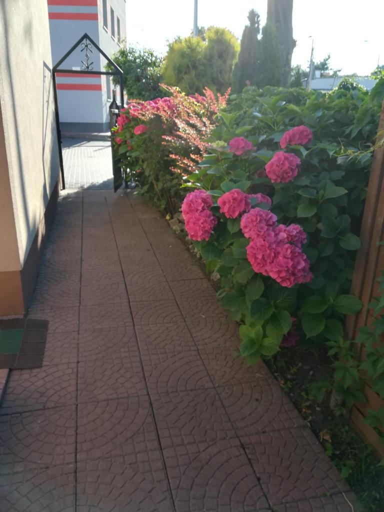 Willa Patio photo 3