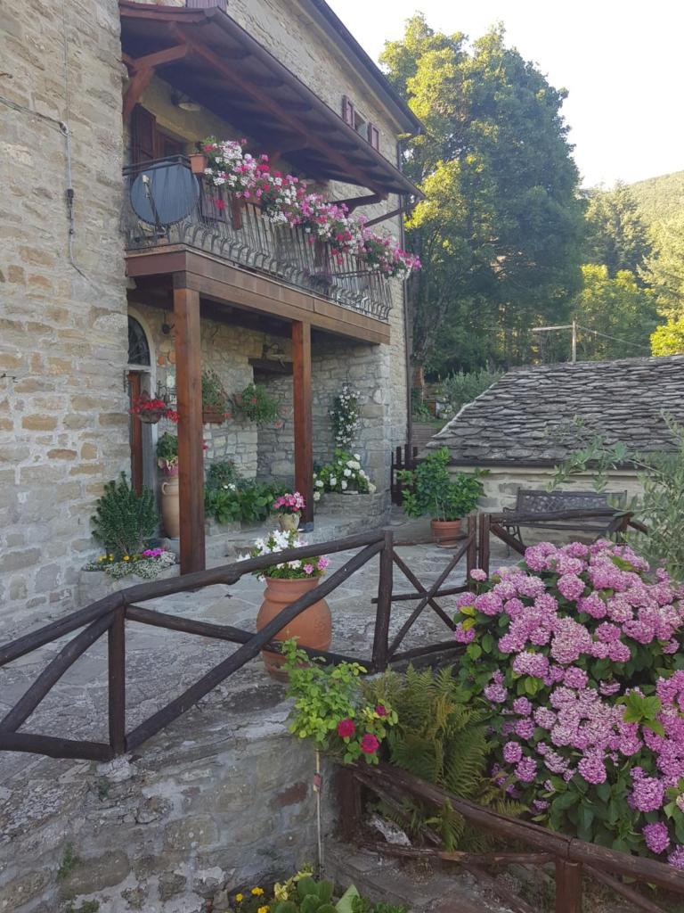 Alla Battuta photo 4
