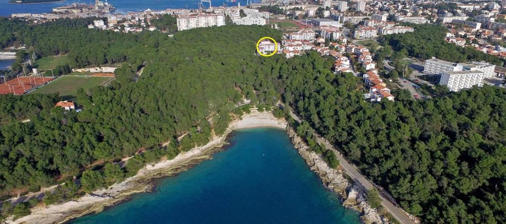 Amazing luxury apartment 200 m from the beach photo 2