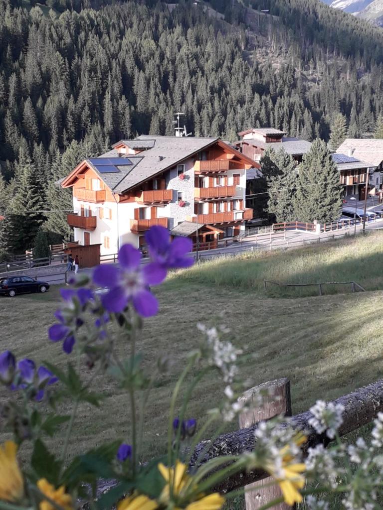 Casa Vacanze Michela photo 1