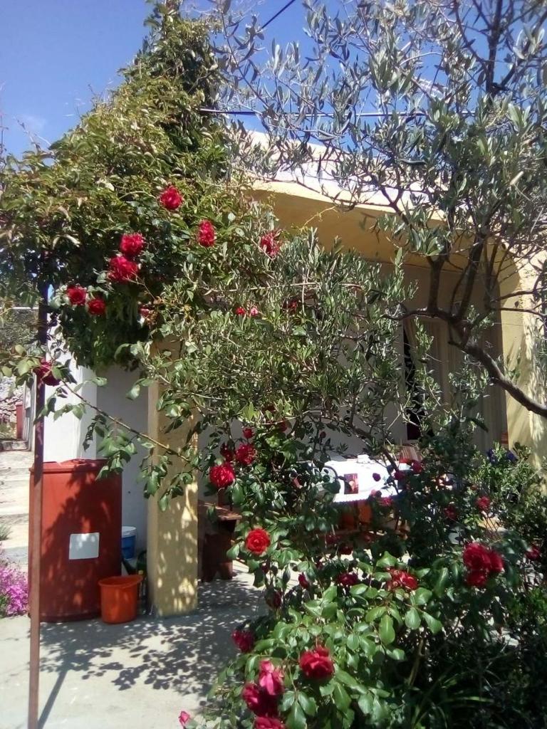 Holiday Home Zeljana photo 2