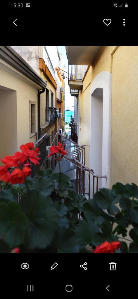 Casamia photo 2