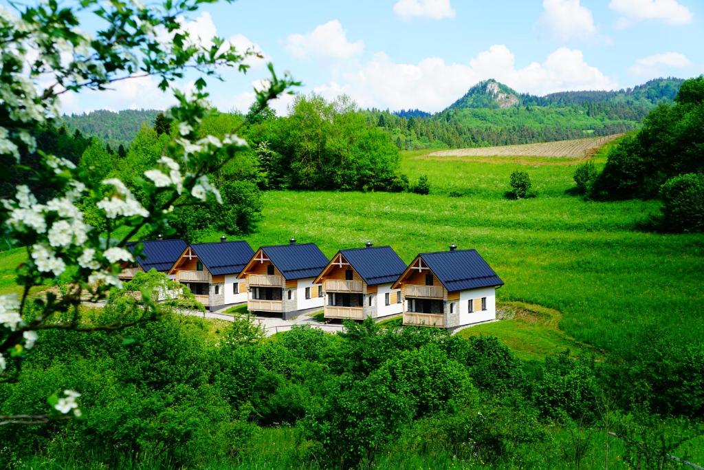 Rekreačna usadlosť Pieninka