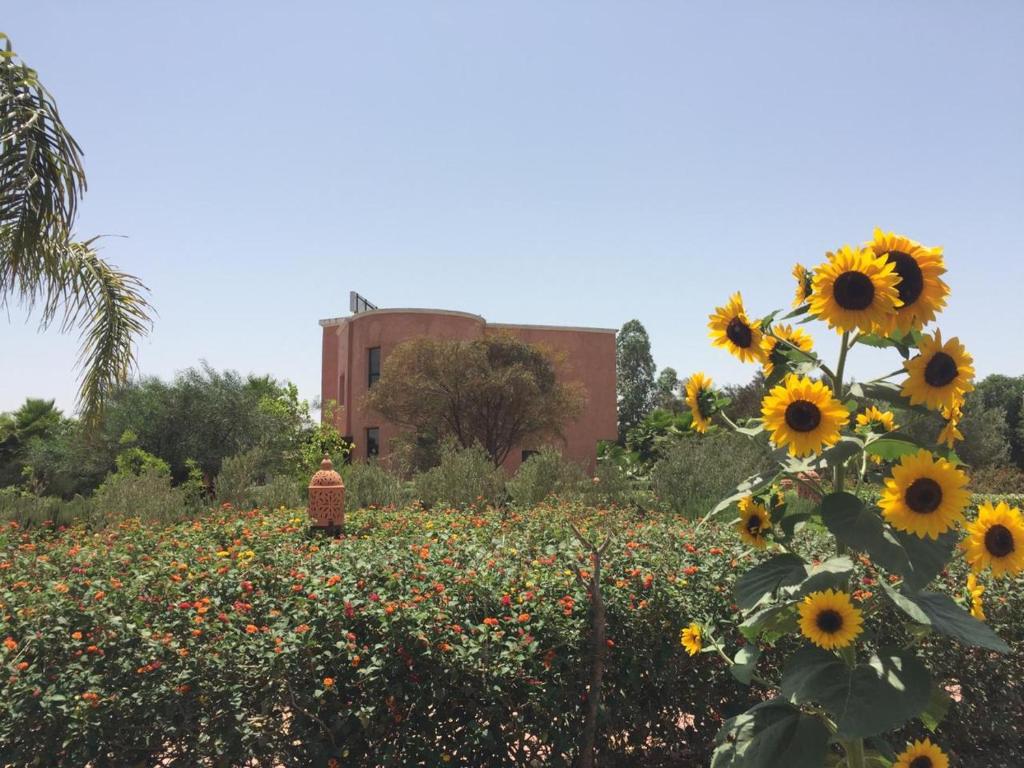 Riad Hamdani photo 1