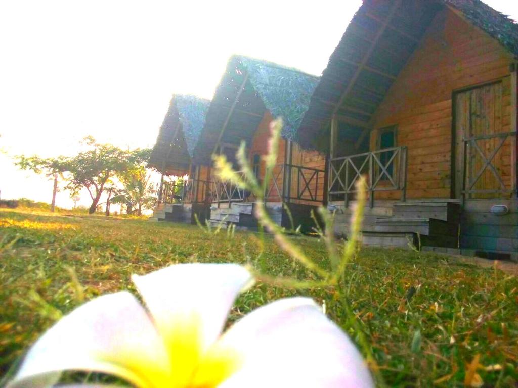 Antheia Beach Resort photo 2