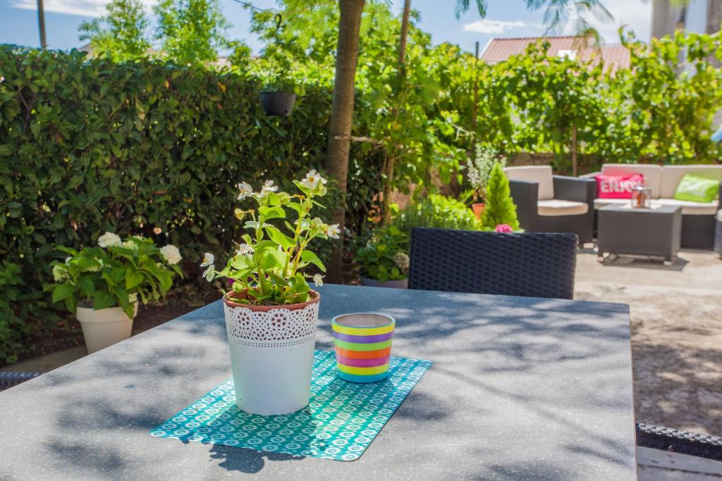 Apartman Madlen photo 1