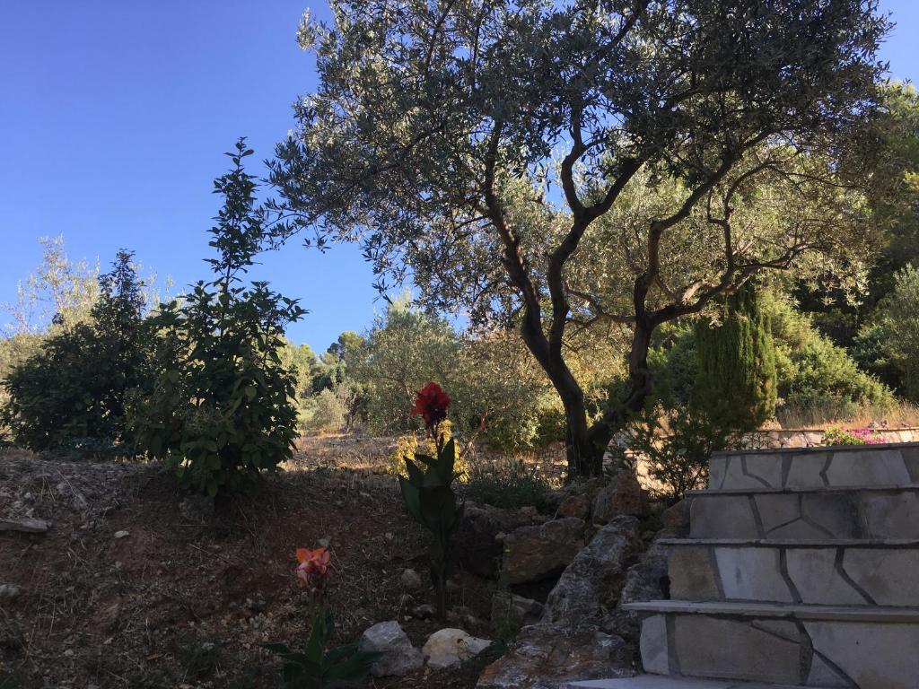 Le Clos en Provence photo 3