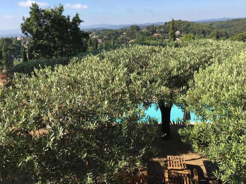 Le Clos en Provence photo 2