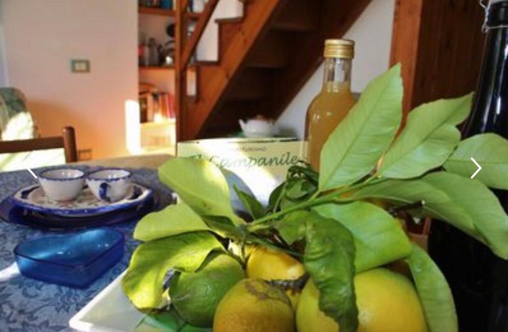 Casa Ortensia photo 4
